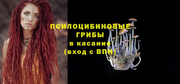 ГАЛЛЮЦИНОГЕННЫЕ ГРИБЫ Володарск