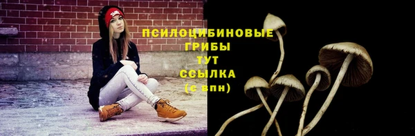 ГАЛЛЮЦИНОГЕННЫЕ ГРИБЫ Володарск