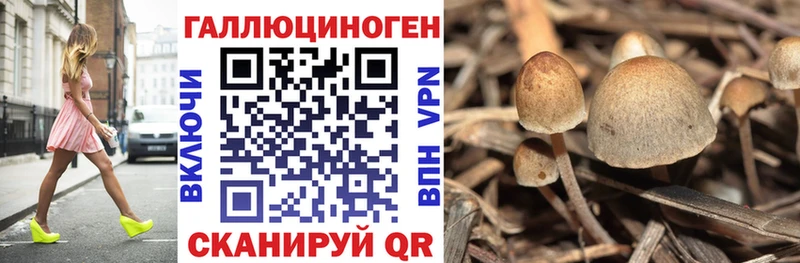 Галлюциногенные грибы Psilocybine cubensis  Купить  Старый Оскол 